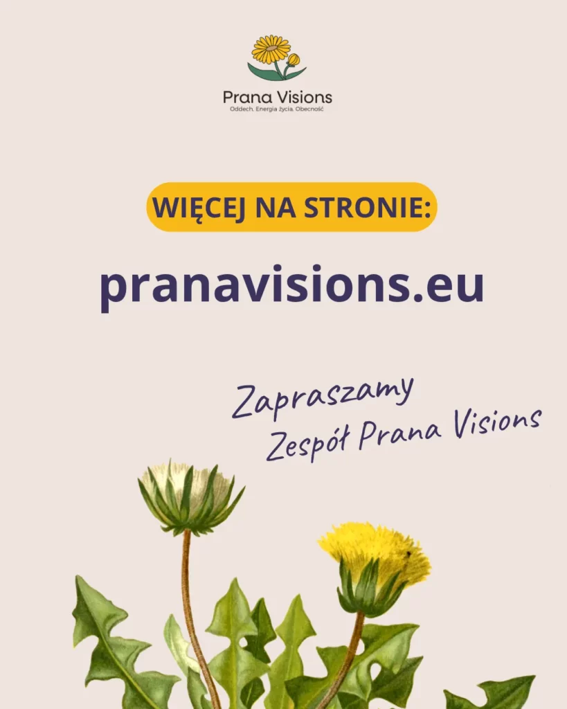 Więcej na stronie pranavisions.eu – zaprasza Zespół Prana Visions